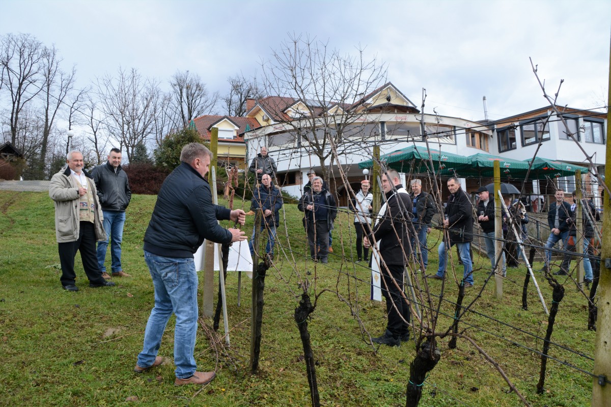 U GORNJOJ STUBICI PROSLAVLJEN BLAGDAN SVETOG VINKA 