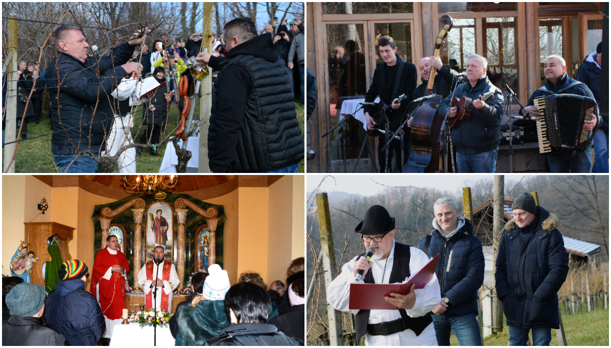 Uz misno slavlje i ceremonije u vinogradu, blagdan sv. Vinka proslavljen u Gornjoj Stubici
