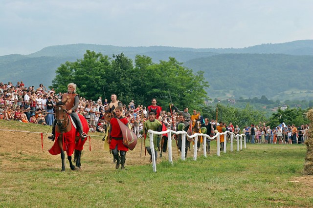 VITEŠKI TURNIR 2013.