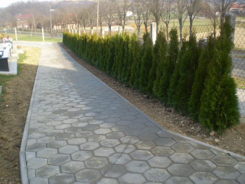 SADNJA ČEMPRESA 