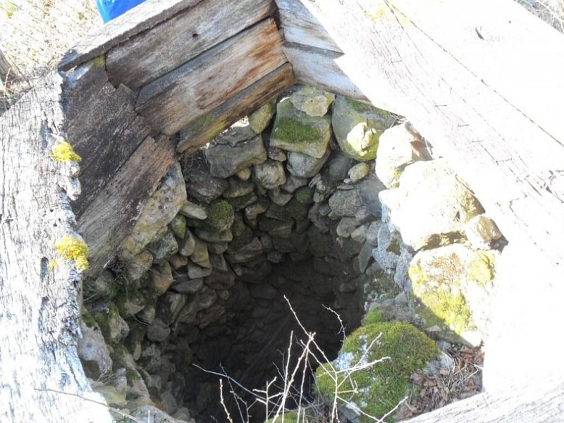 Dajte svoj 